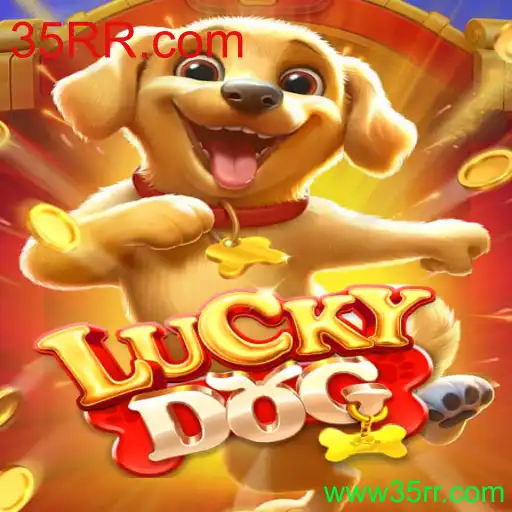 Explorando o Fascinante Jogo LuckyDog e a Plataforma 35RR.com